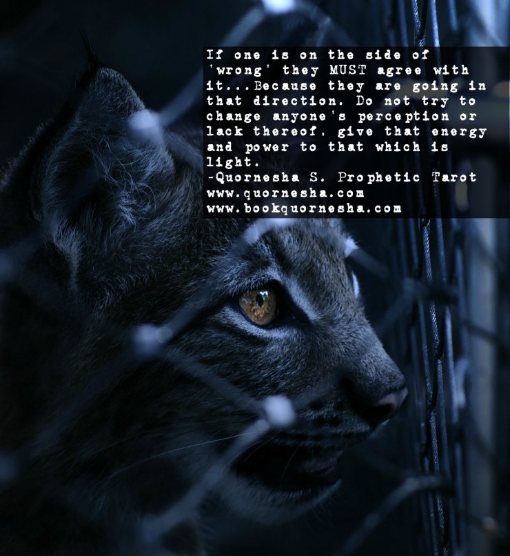 2856.bookquornesha.com