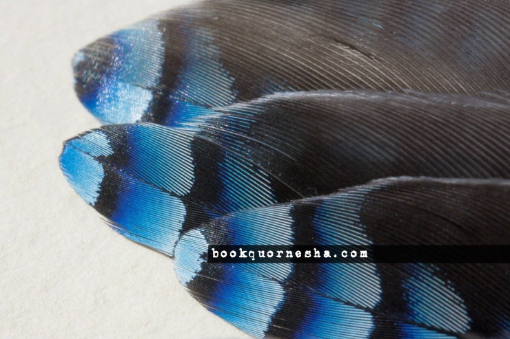 8394bookquornesha.com