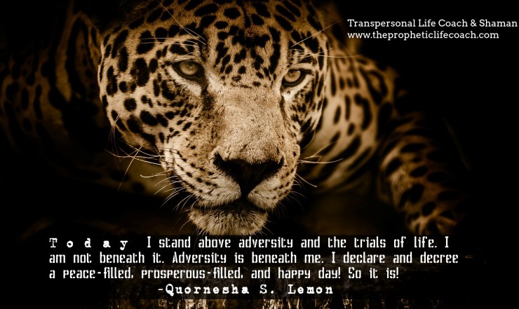 4902-thepropheticlifecoach.com