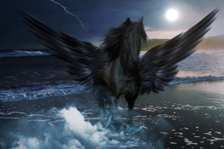 pegasus-696728_1920