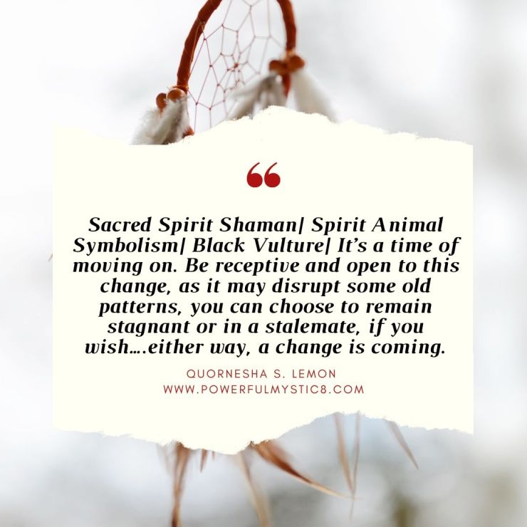 Sacred Spirit Shaman_vulture-symbolism-quornesha-s-lemon